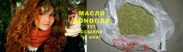 индика Дмитриев