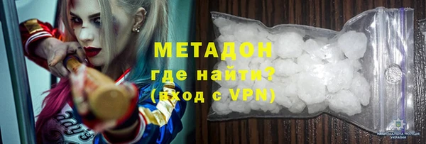 индика Дмитриев