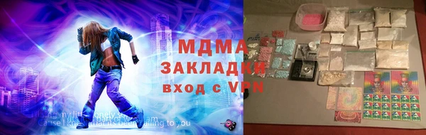 индика Дмитриев