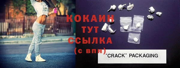 индика Дмитриев