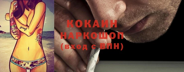 индика Дмитриев
