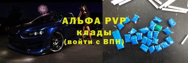 индика Дмитриев