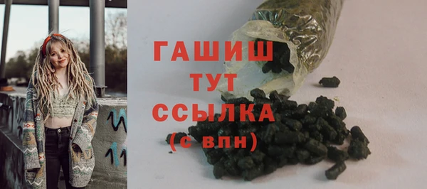 индика Дмитриев