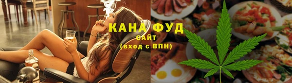 индика Дмитриев
