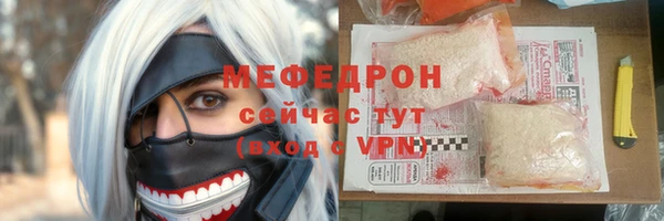 индика Дмитриев