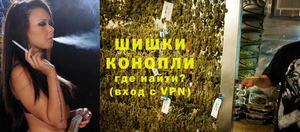 индика Дмитриев
