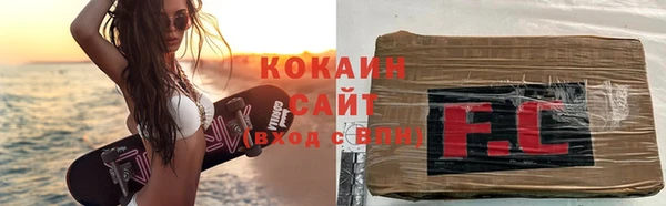 индика Дмитриев