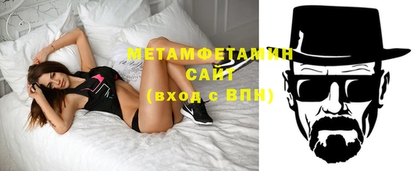индика Дмитриев