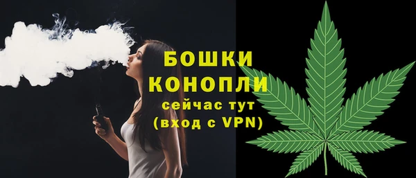 Альфа ПВП Магас