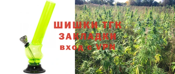 индика Дмитриев