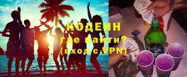 индика Дмитриев
