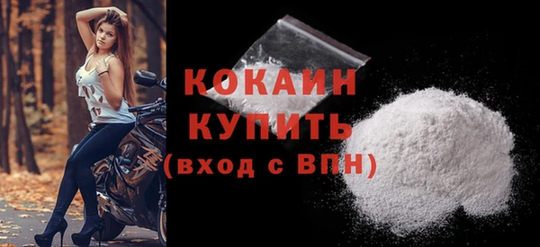 индика Дмитриев