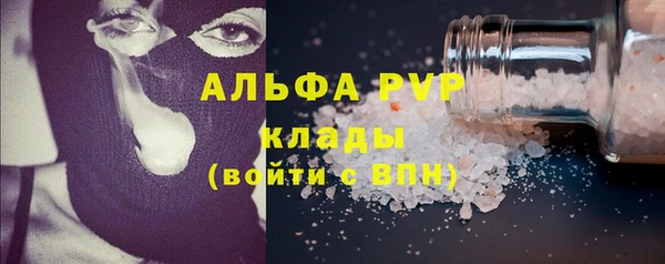 индика Дмитриев